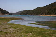 磯の香りⅡ
