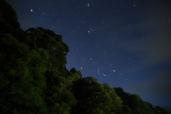 夜明け前
