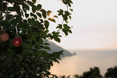 島の夕暮れ