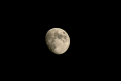 昨夜のお月さま
