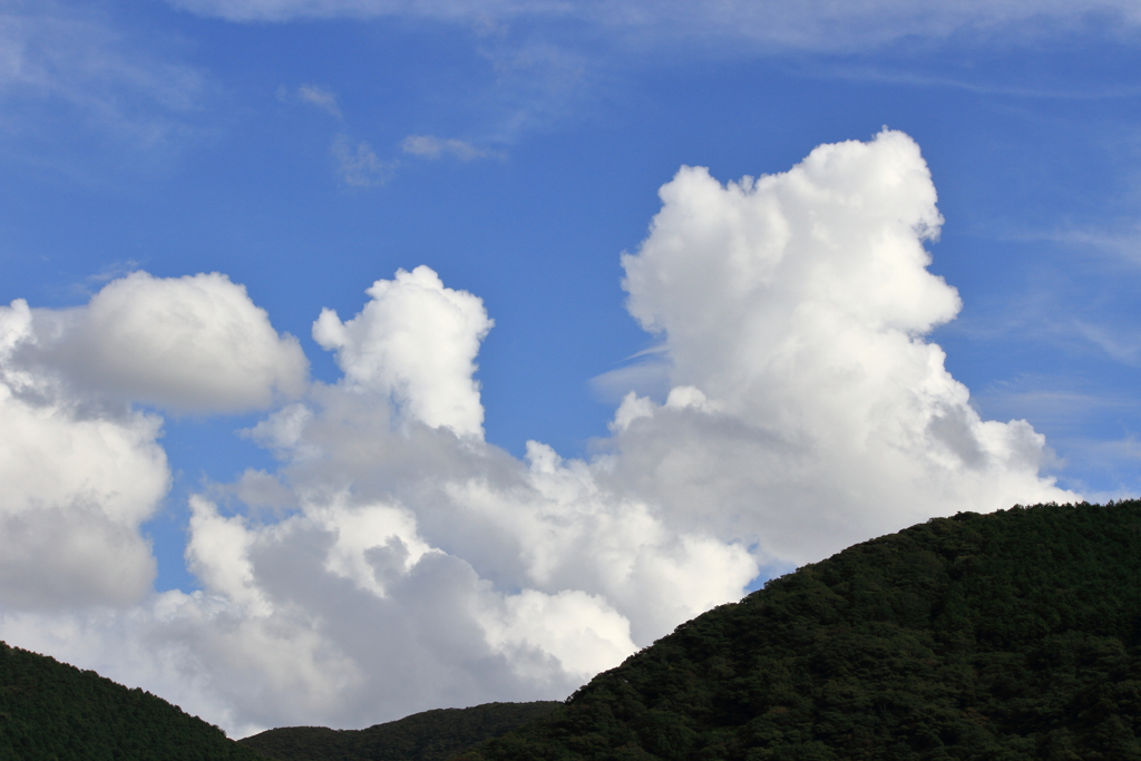 夏真っ盛り？　ⅱ