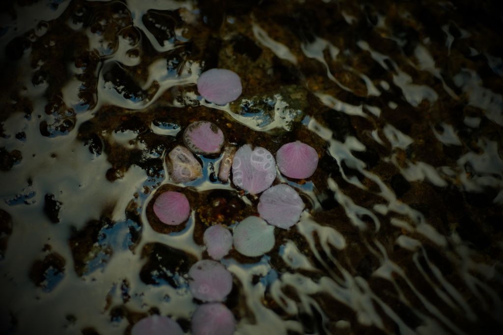 オールドマクロで　ⅳ