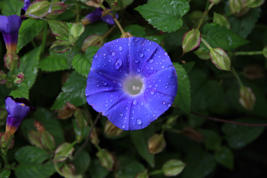 また雨が・・・