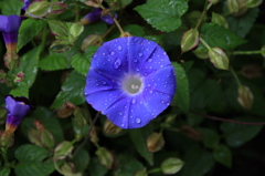 また雨が・・・