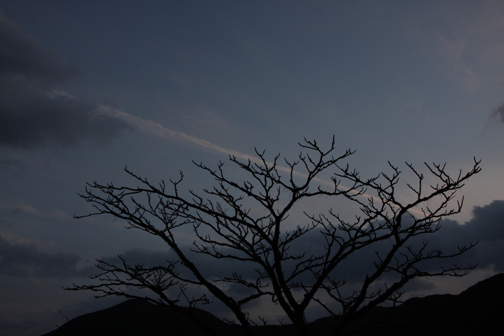 陽の落ちた夕空