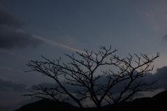 陽の落ちた夕空