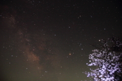 天の川と桜の狭間で
