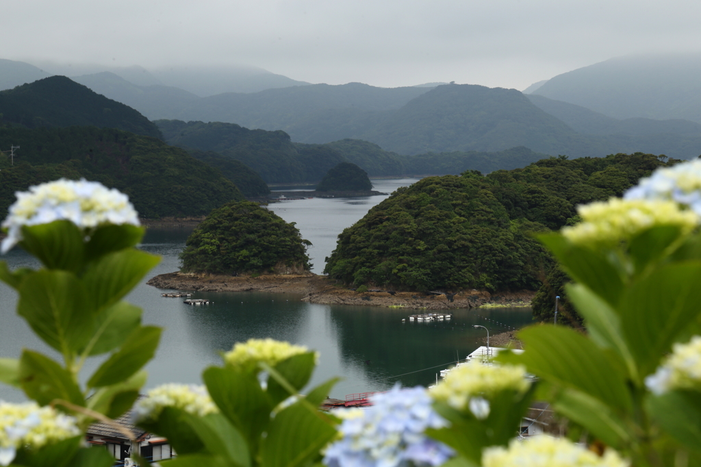 入梅の入り江