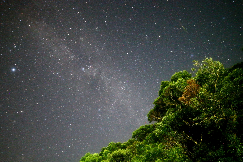 ペルセウス流星群Ⅲ