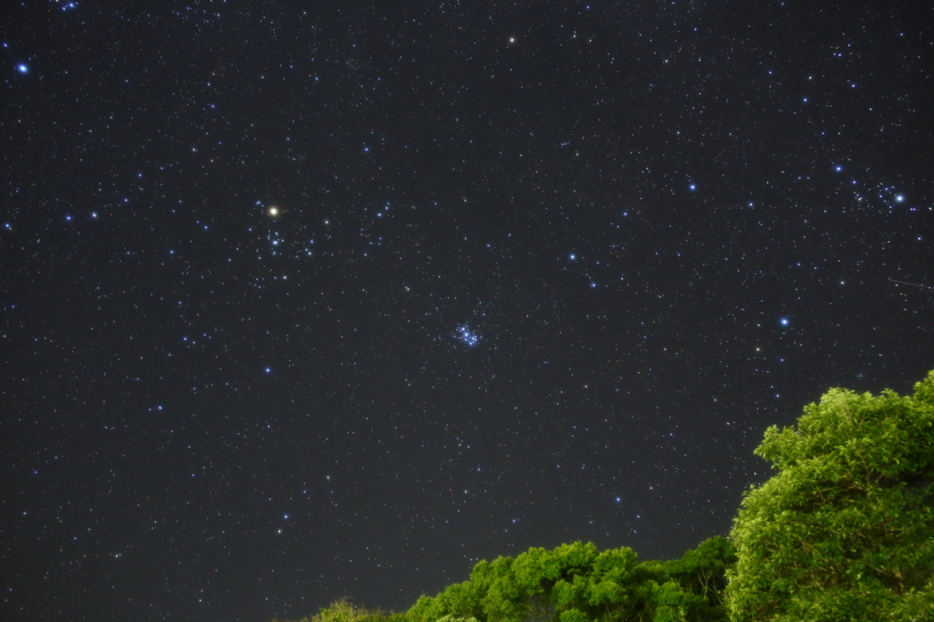 南西の星空