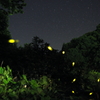 星空に舞う