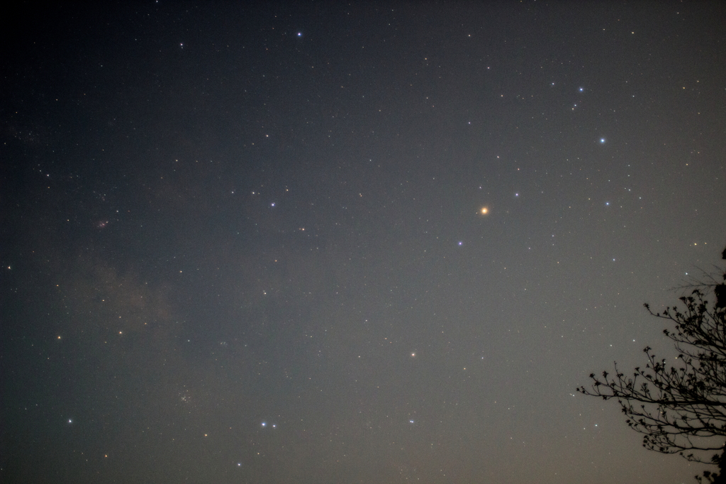 トイレタイムのさそり座