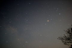 トイレタイムのさそり座