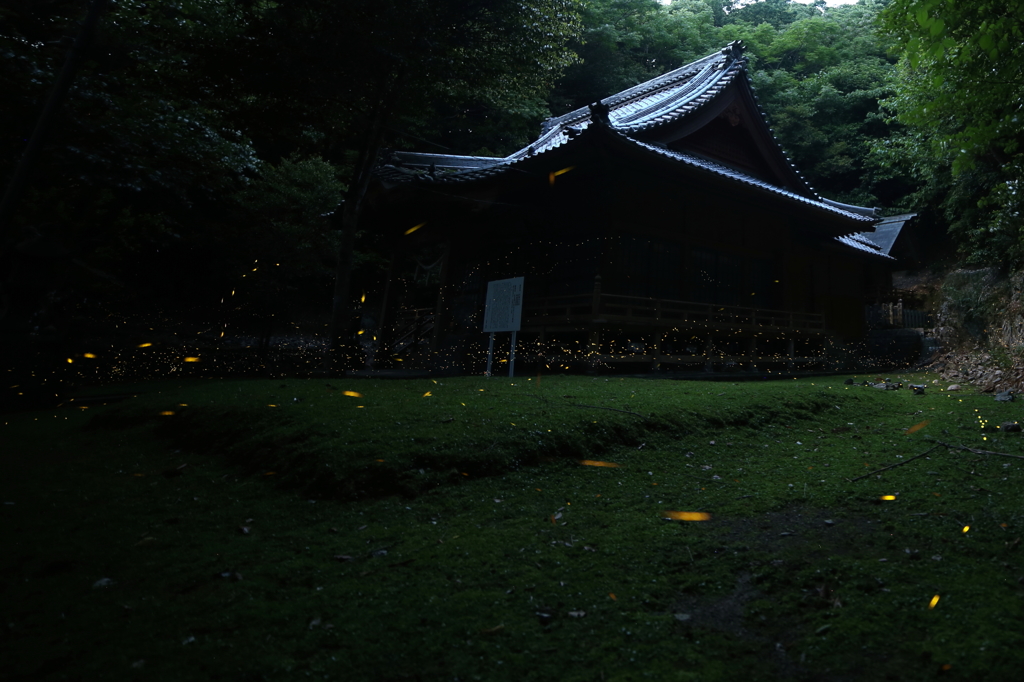神社の姫たち