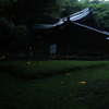 神社の姫たち