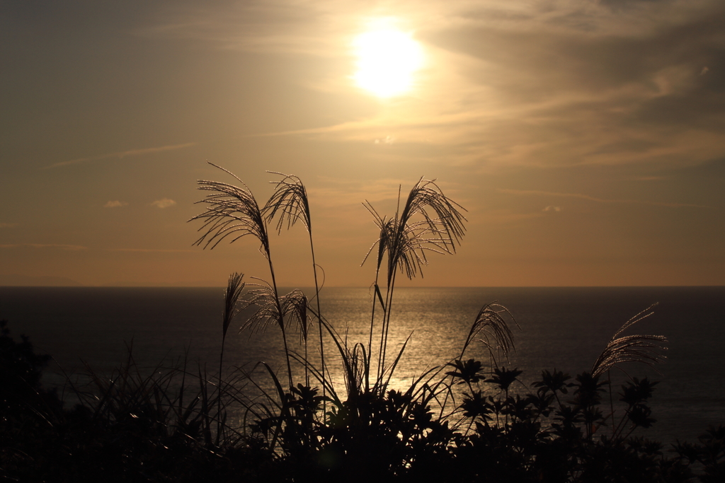 日の出の後に　ⅳ