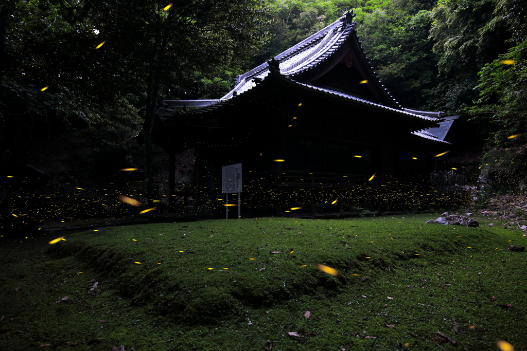 若松神社 姫の舞い