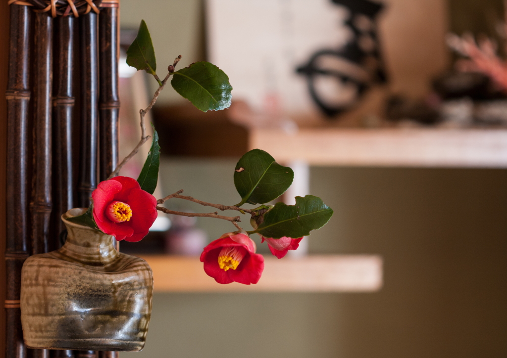 家の中にも咲いてます