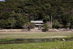 磯の香りⅢ