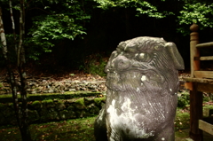 緑の社Ⅱ