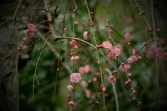 徒然なるままに　弐