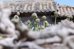 人口三人の島Ⅱ