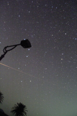 流れ星？