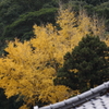 まだ輝いてるよ