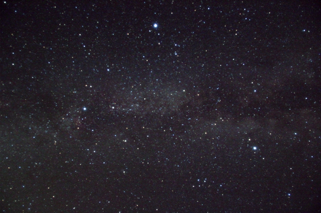 まだまだ健在です！