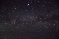 まだまだ健在です！