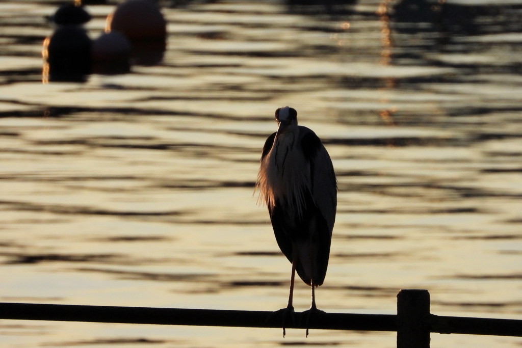 漁村の夕暮れ　ⅰ