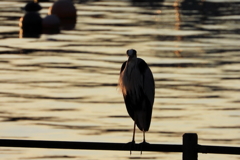 漁村の夕暮れ　ⅰ