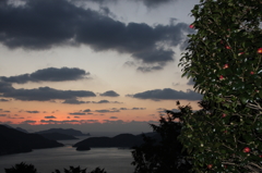 椿と夕焼け