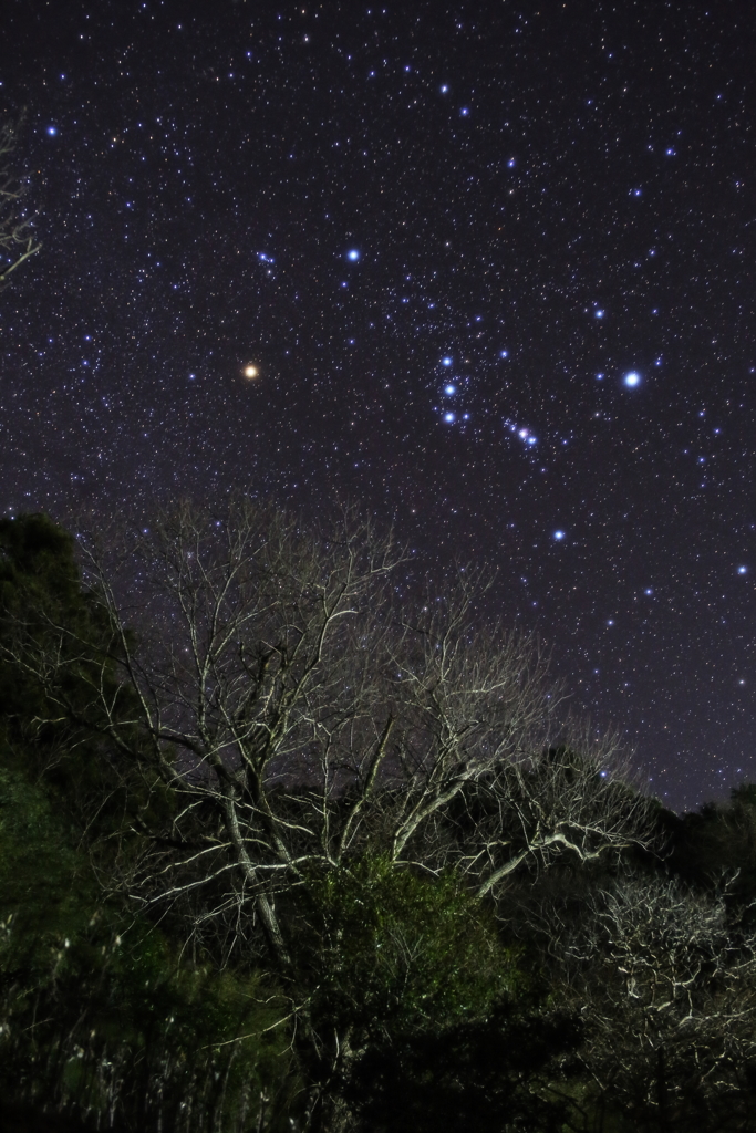 今宵の夜空Ⅲ