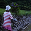 田植えを終えて