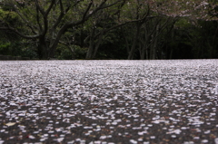 また逢う日までⅣ