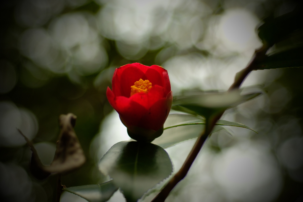 オールドマクロで　ⅰ