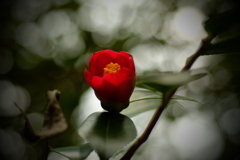 オールドマクロで　ⅰ