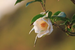 日の出の後に　ⅰ