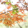 季節の境目Ⅱ