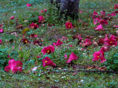 栄華の去りてⅠ