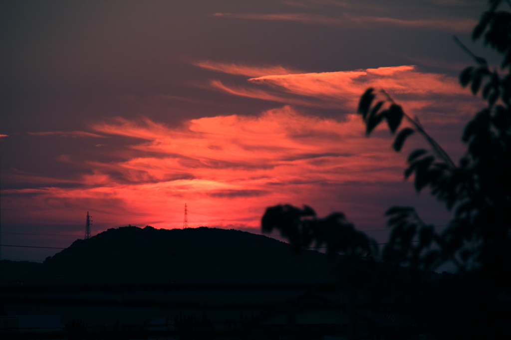 改造カメラで撮ってみましたⅡ