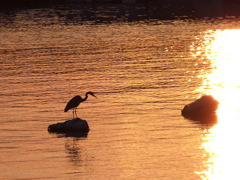 漁港の夕焼けⅠ