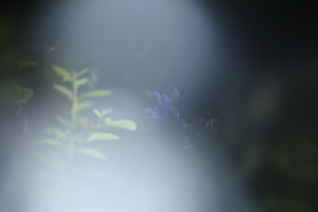 濃い霧の中ではありません