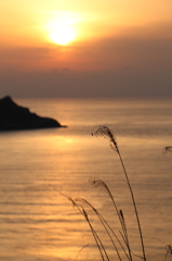 春の海