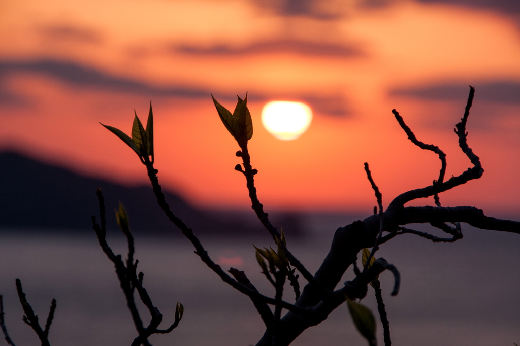瀬戸の夕陽Ⅱ