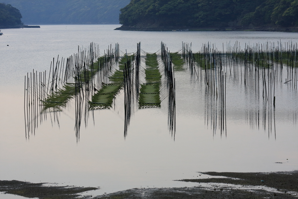 島の入り江　壱