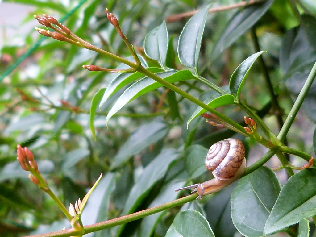 春の陽気に誘われてⅡ