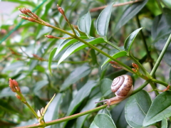 春の陽気に誘われてⅡ