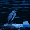 夕暮れ写ん歩　ⅲ